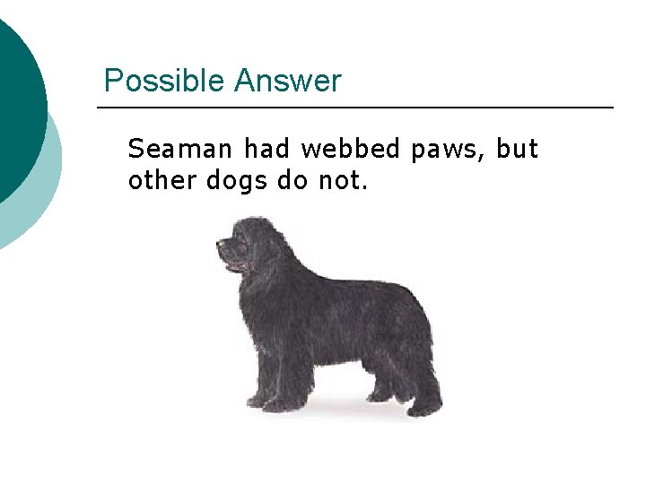 Possible Answer Seaman had webbed paws, but other dogs do not. 