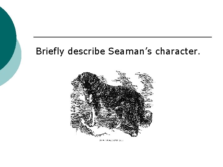 Briefly describe Seaman’s character. 