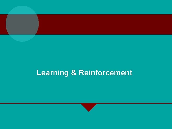 Learning & Reinforcement 
