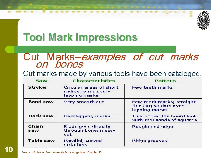 Tool Mark Impressions Cut Marks—examples of cut marks on bones Cut marks made by