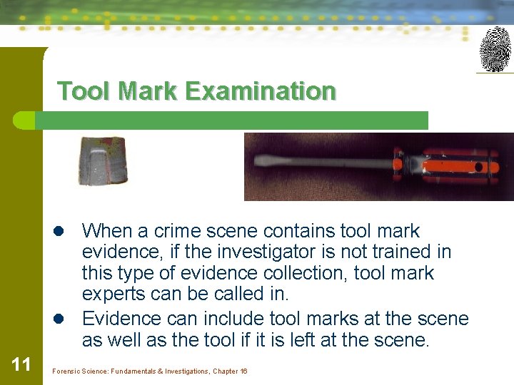 Tool Mark Examination l When a crime scene contains tool mark evidence, if the