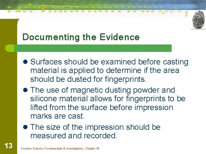 Documenting the Evidence l Surfaces should be examined before casting material is applied to