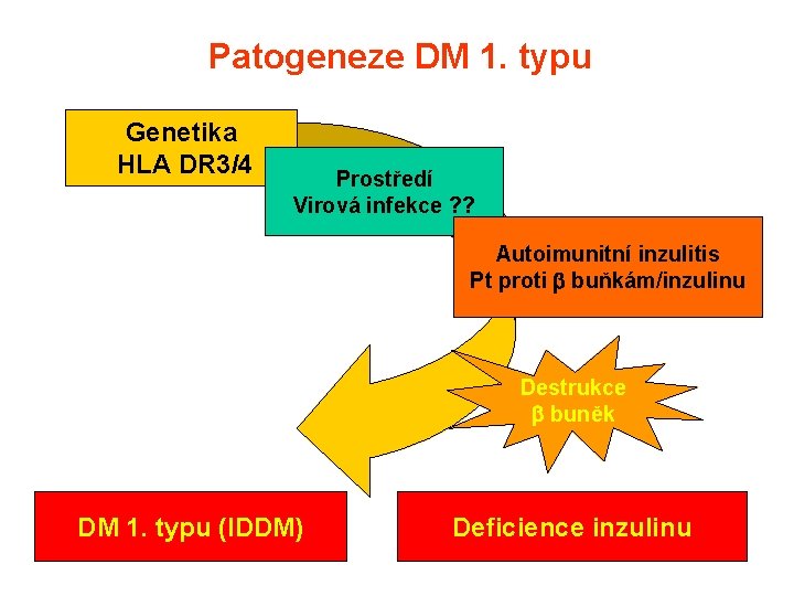 Patogeneze DM 1. typu Genetika HLA DR 3/4 Prostředí Virová infekce ? ? Autoimunitní