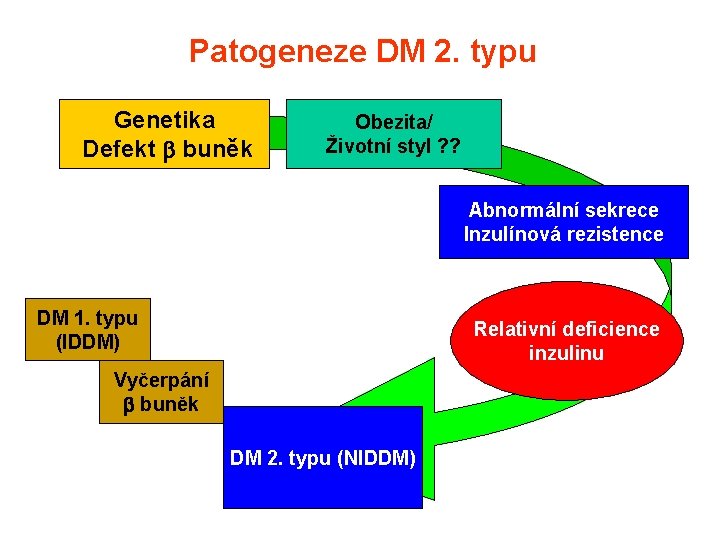 Patogeneze DM 2. typu Genetika Defekt buněk Obezita/ Životní styl ? ? Abnormální sekrece