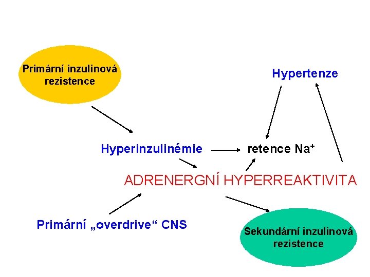 Primární inzulinová rezistence Hypertenze Hyperinzulinémie retence Na+ ADRENERGNÍ HYPERREAKTIVITA Primární „overdrive“ CNS Sekundární inzulinová