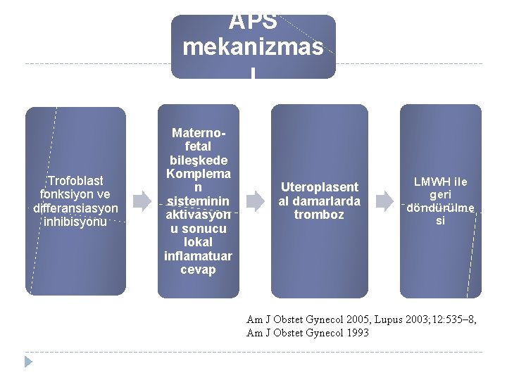 APS mekanizmas ı Trofoblast fonksiyon ve differansiasyon inhibisyonu Maternofetal bileşkede Komplema n sisteminin aktivasyon