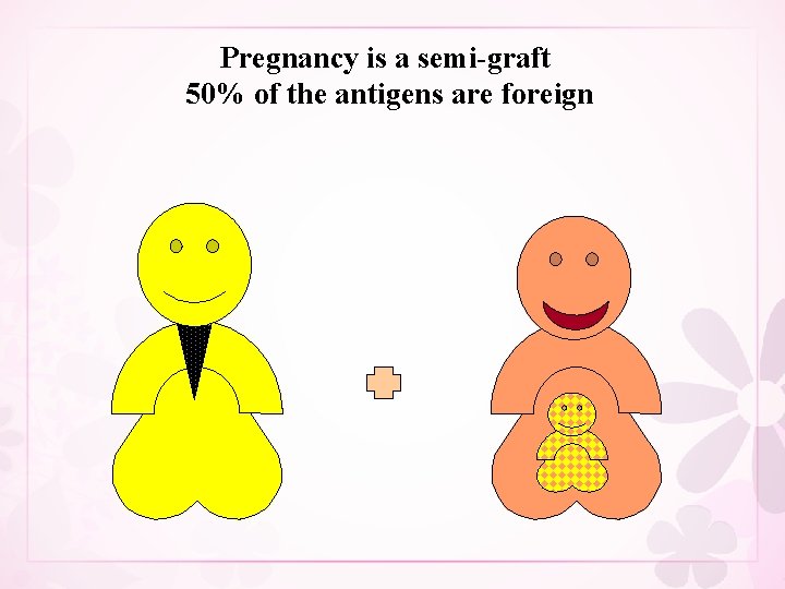 Pregnancy is a semi-graft 50% of the antigens are foreign 
