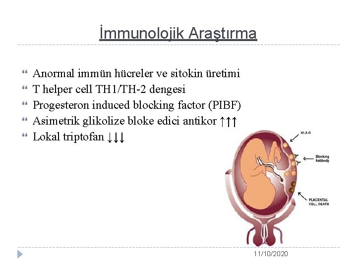 İmmunolojik Araştırma Anormal immün hücreler ve sitokin üretimi T helper cell TH 1/TH-2 dengesi