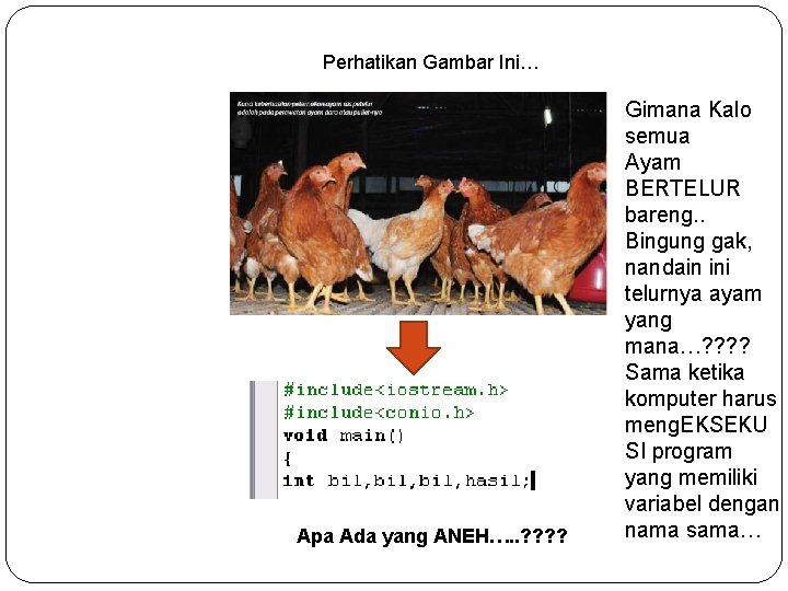 Perhatikan Gambar Ini… Apa Ada yang ANEH…. . ? ? Gimana Kalo semua Ayam