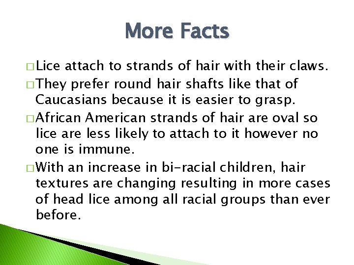 More Facts � Lice attach to strands of hair with their claws. � They