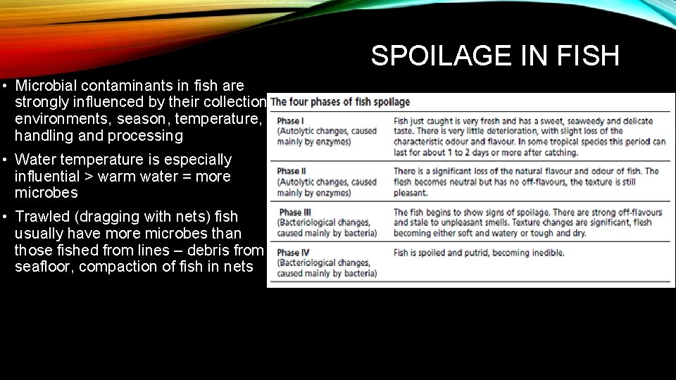 SPOILAGE IN FISH • Microbial contaminants in fish are strongly influenced by their collection