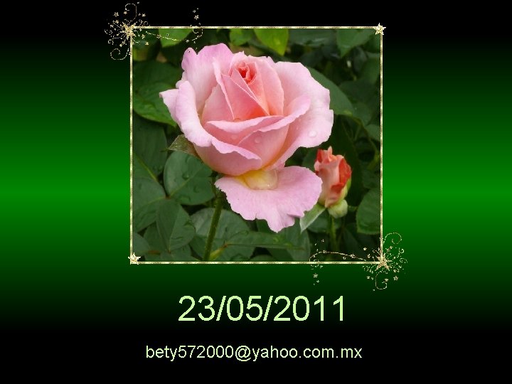  23/05/2011 bety 572000@yahoo. com. mx 