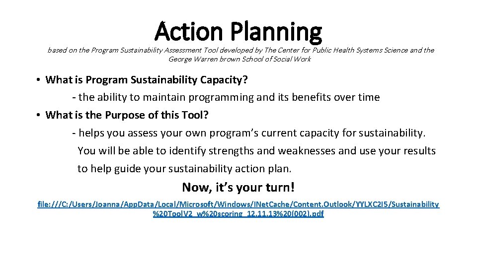 Action Planning based on the Program Sustainability Assessment Tool developed by The Center for