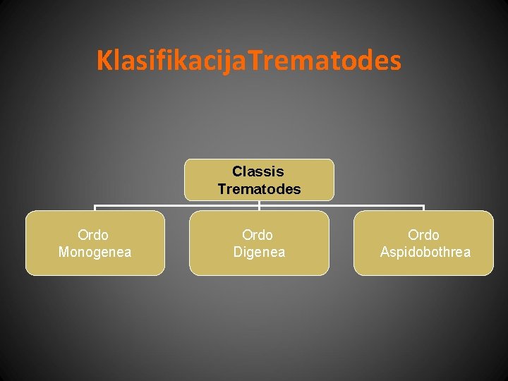 Klasifikacija. Trematodes Classis Trematodes Ordo Monogenea Ordo Digenea Ordo Aspidobothrea 