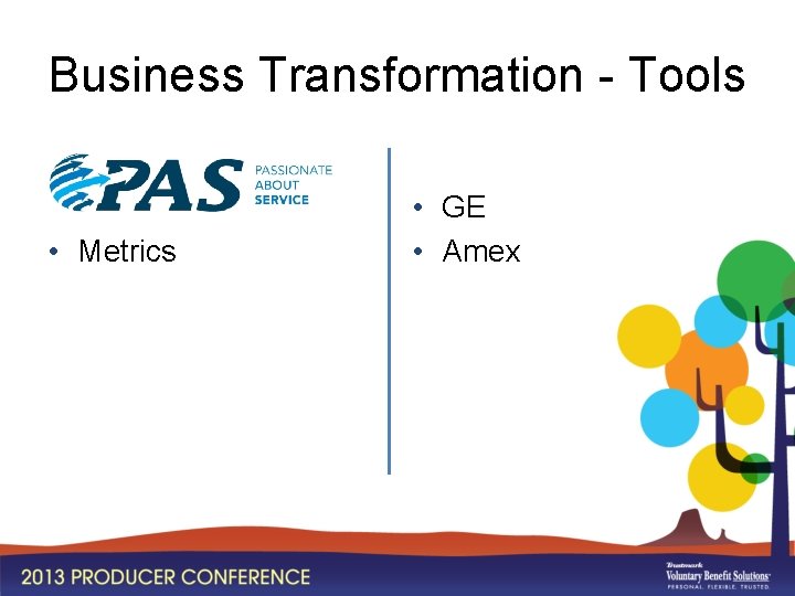 Business Transformation - Tools • Metrics • GE • Amex 