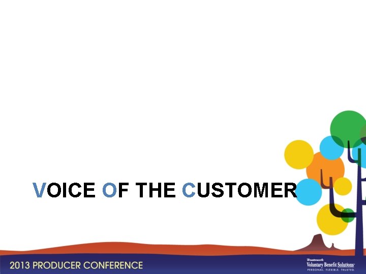 VOICE OF THE CUSTOMER 