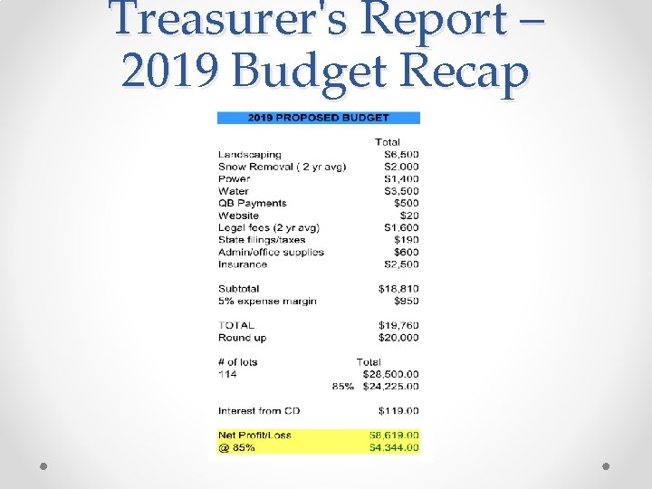 Treasurer's Report – 2019 Budget Recap 