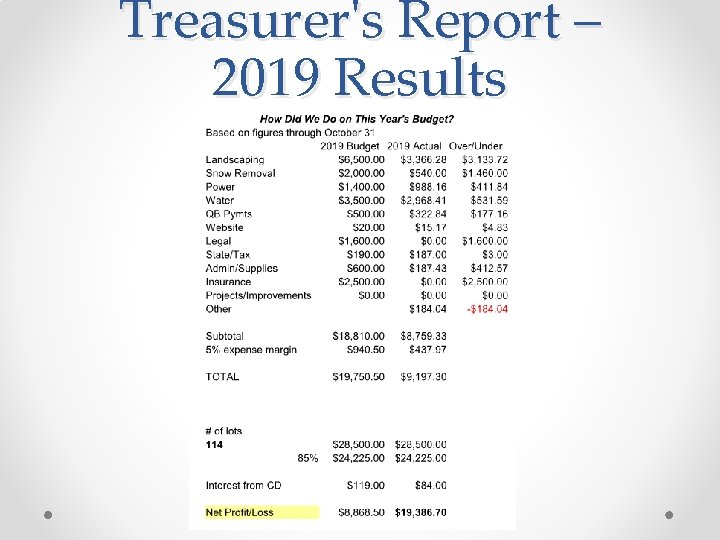 Treasurer's Report – 2019 Results 