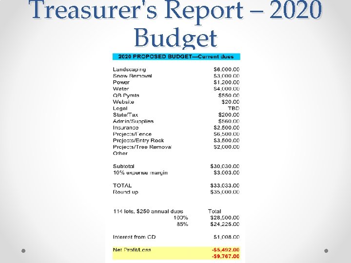 Treasurer's Report – 2020 Budget 