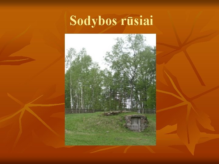 Sodybos rūsiai 