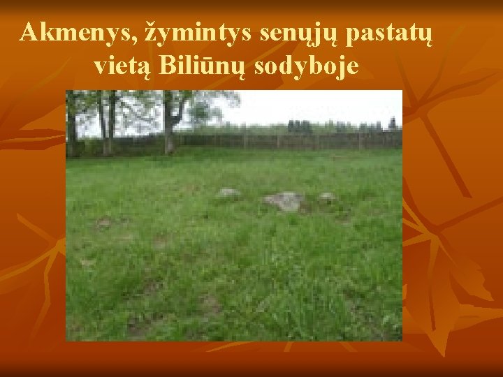 Akmenys, žymintys senųjų pastatų vietą Biliūnų sodyboje 