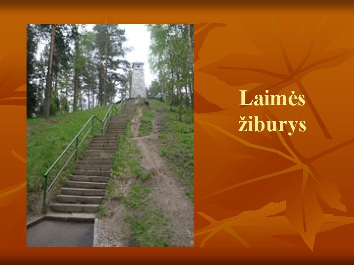 Laimės žiburys 