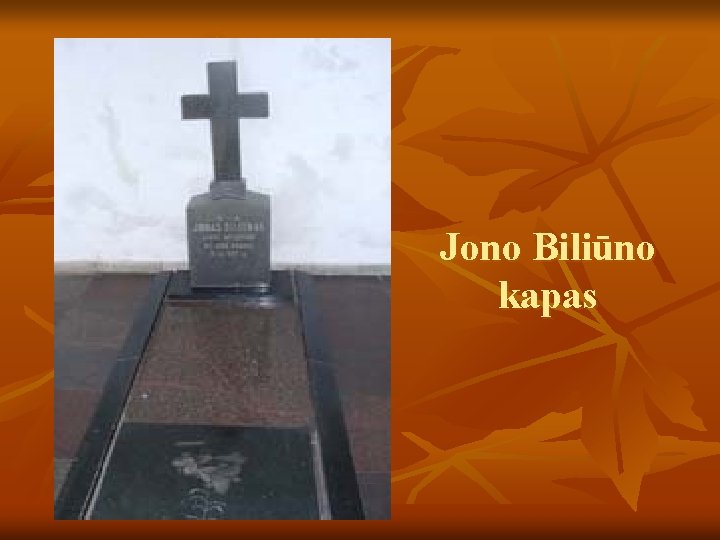 Jono Biliūno kapas 