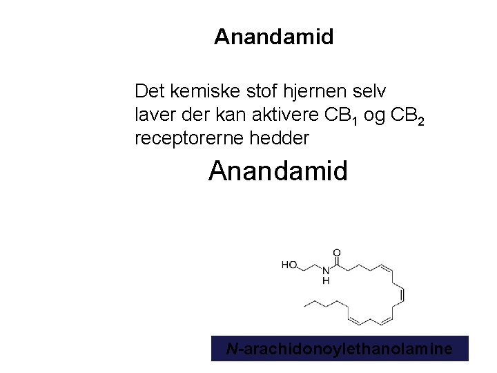 Anandamid Det kemiske stof hjernen selv laver der kan aktivere CB 1 og CB