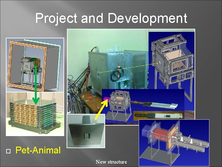 Project and Development Pet-Animal New structure 