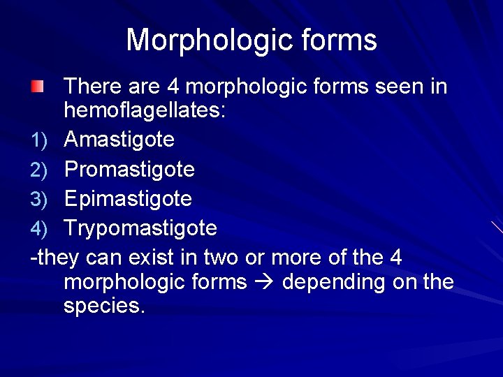 Morphologic forms There are 4 morphologic forms seen in hemoflagellates: 1) Amastigote 2) Promastigote