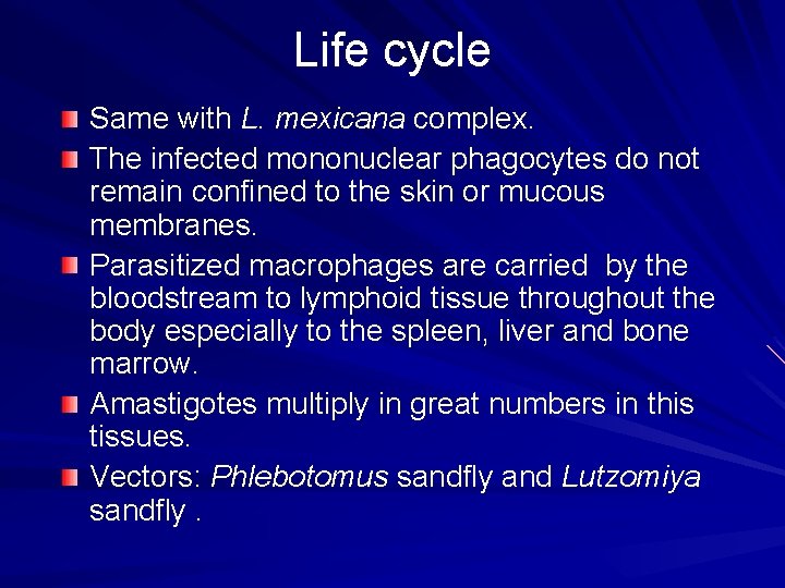 Life cycle Same with L. mexicana complex. The infected mononuclear phagocytes do not remain