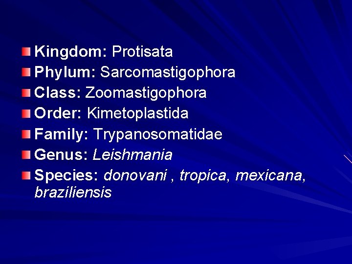Kingdom: Protisata Phylum: Sarcomastigophora Class: Zoomastigophora Order: Kimetoplastida Family: Trypanosomatidae Genus: Leishmania Species: donovani