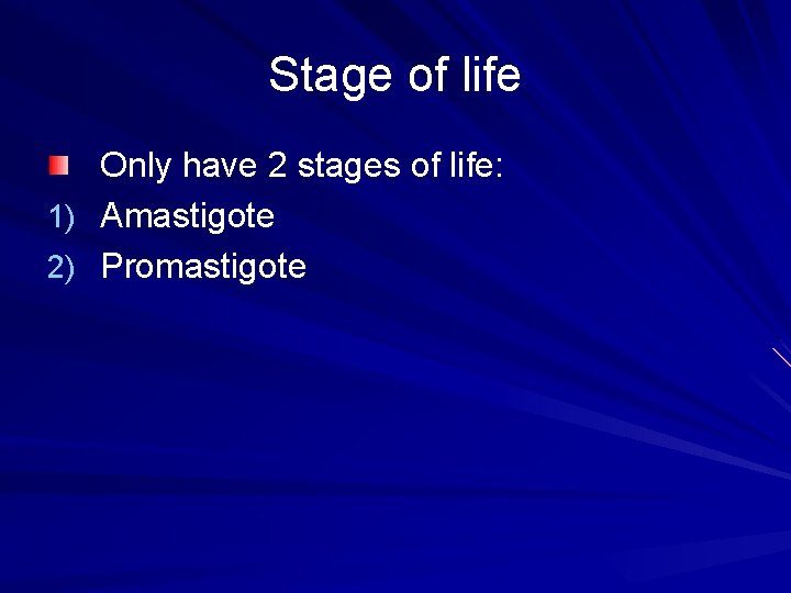 Stage of life Only have 2 stages of life: 1) Amastigote 2) Promastigote 