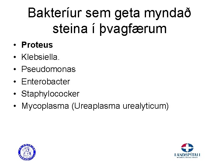 Bakteríur sem geta myndað steina í þvagfærum • • • Proteus Klebsiella. Pseudomonas Enterobacter