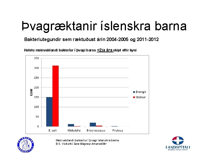 Þvagræktanir íslenskra barna Bakteríutegundir sem ræktuðust árin 2004 -2005 og 2011 -2012 Helstu meinvaldandi