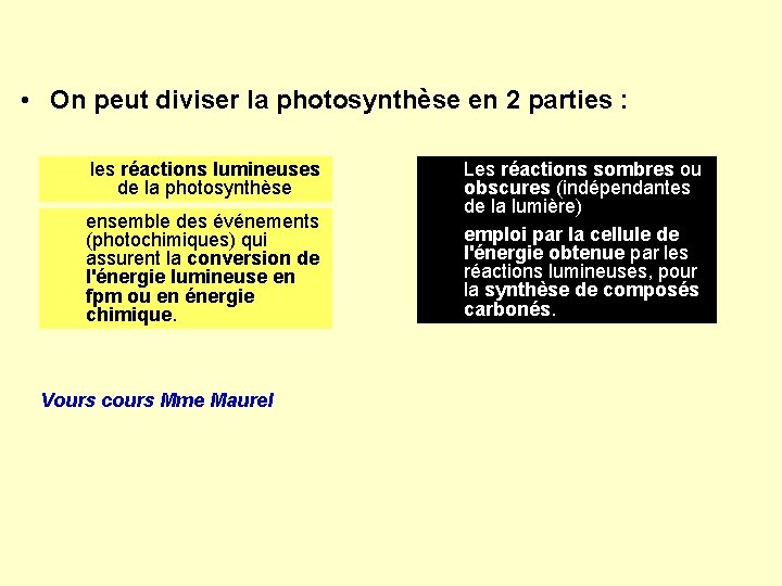  • On peut diviser la photosynthèse en 2 parties : les réactions lumineuses