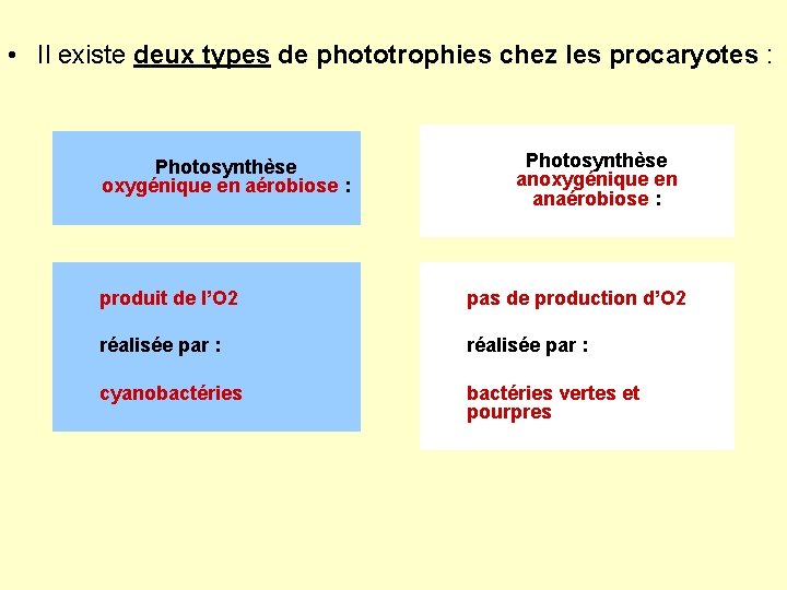  • Il existe deux types de phototrophies chez les procaryotes : Photosynthèse oxygénique