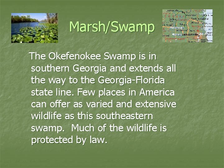 Marsh/Swamp The Okefenokee Swamp is in southern Georgia and extends all the way to