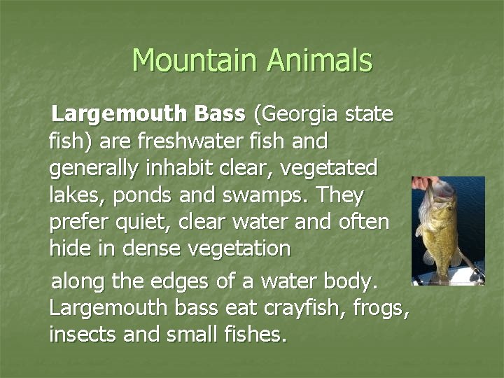 Mountain Animals Largemouth Bass (Georgia state fish) are freshwater fish and generally inhabit clear,