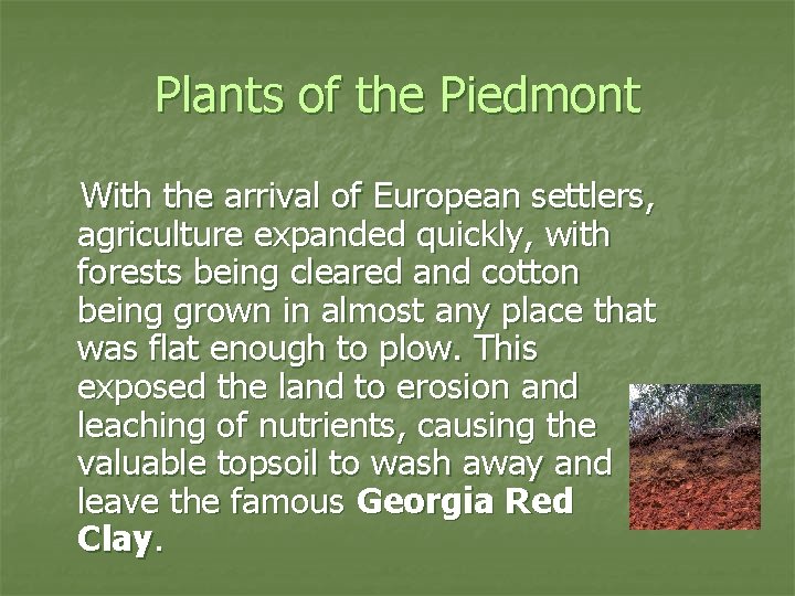 Plants of the Piedmont With the arrival of European settlers, agriculture expanded quickly, with