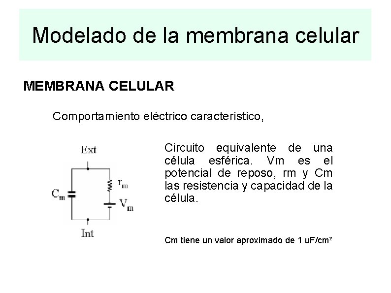 Bases fisicoqumicas y modelado del tejido excitable ncleo