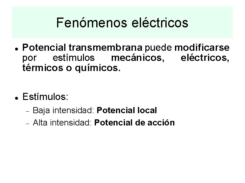 Como Un Estimulo Mecanico Se Convierte En Uno Electrico