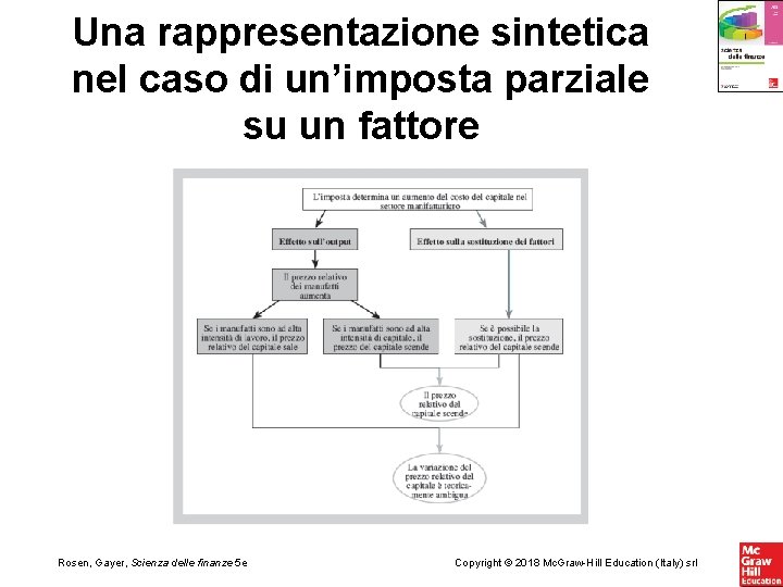 Una rappresentazione sintetica nel caso di un’imposta parziale su un fattore Rosen, Gayer, Scienza