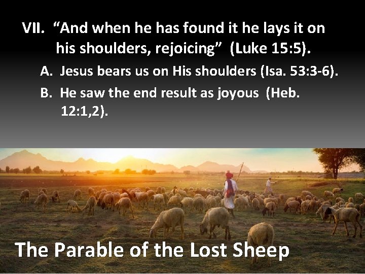 VII. “And when he has found it he lays it on his shoulders, rejoicing”