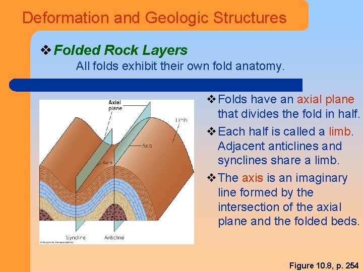 Deformation and Geologic Structures v Folded Rock Layers All folds exhibit their own fold