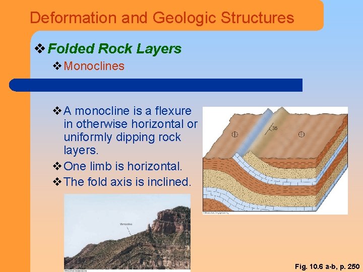 Deformation and Geologic Structures v Folded Rock Layers v. Monoclines v. A monocline is