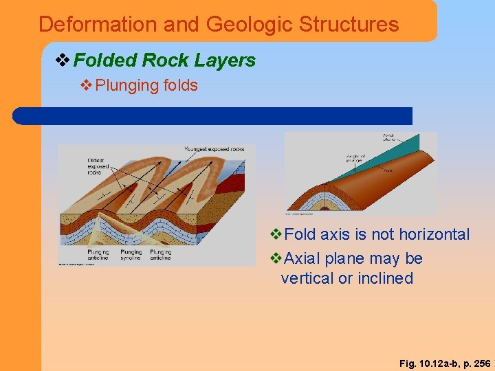 Deformation and Geologic Structures v Folded Rock Layers v. Plunging folds v. Fold axis