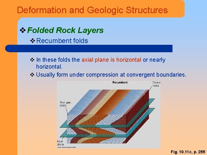 Deformation and Geologic Structures v Folded Rock Layers v. Recumbent folds v In these
