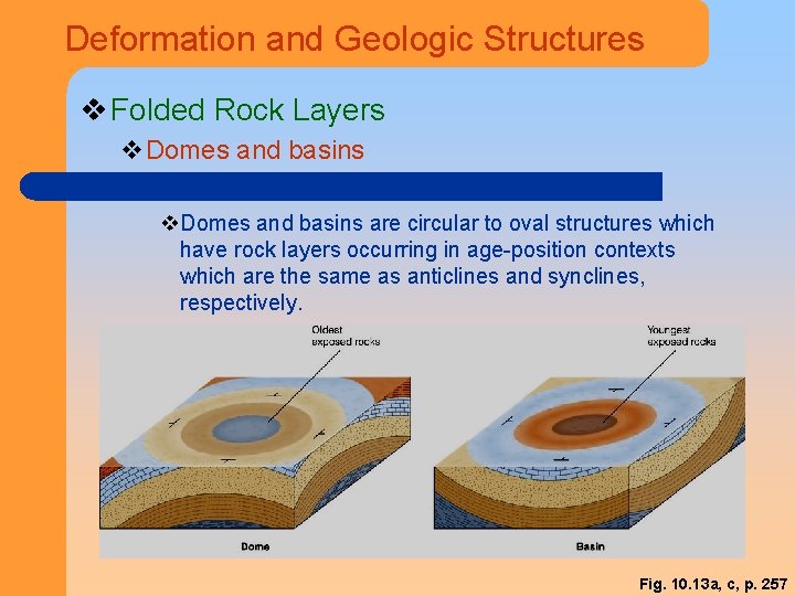 Deformation and Geologic Structures v Folded Rock Layers v. Domes and basins are circular