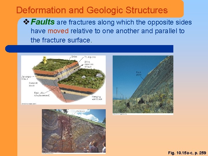 Deformation and Geologic Structures v Faults are fractures along which the opposite sides have